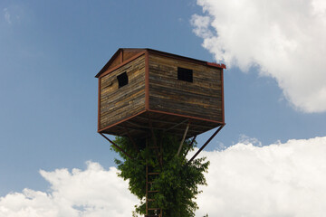 Casa de &aacute;rbol 