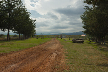 Camino