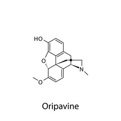 Oripavine molecular structure, flat skeletal chemical formula. Opioid, painkiller, narcotic, analgesic . Vector illustration.