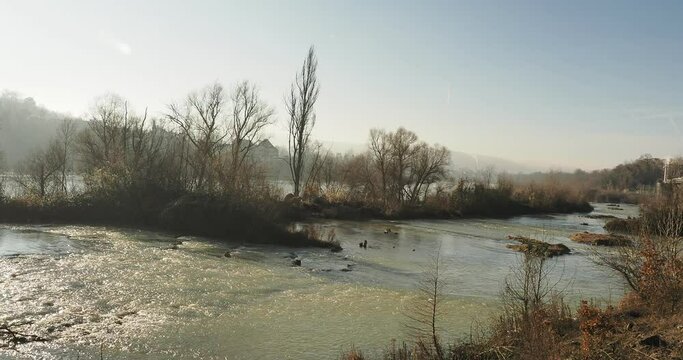 Le long du Rhin et de petit Rhin &agrave; Rheinfelden entre l'Allemagne et la Suisse. Richesse naturelle de la flore et la faune de l'&icirc;lot central
