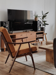 Modern minimal home, living room interior design concept. White walls, tv, loudspeakers, wooden...