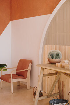 Mid-century retro chair and cactus home plant in clay pot against white and ginger wall. Modern aesthetic minimalist home, living room interior design concept