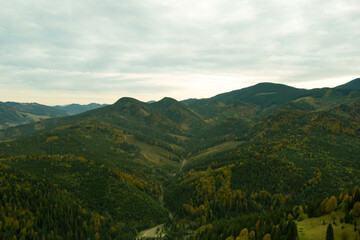 Fototapeta na wymiar Aerial view of beautiful mountain forest on autumn day