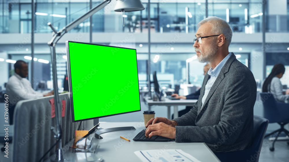 Leinwandbilder caucasian senior specialist working on desktop computer with green chroma key screen display in a bu