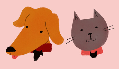 Dog and cat wearing collar