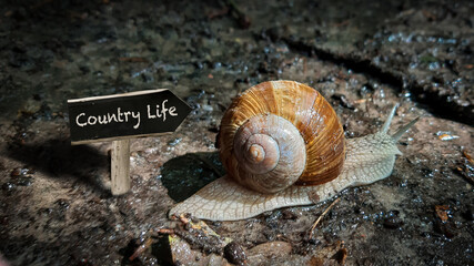 Street Sign to Country Life