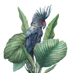 Watercolor black parrot artwork. Hand drawn tropical card design with exotic leaves and branches isolated on white background. Ara bird and banana leaves