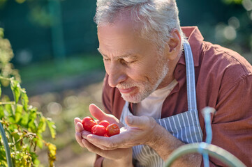 Mature man in burgundy shirt in the greenhouse