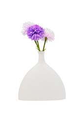 Violet and white flowers in trendy vase. Modern posy, floral bouquet isolated on white background.