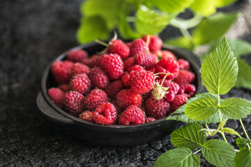 Raspberries in bowl on a dark wooden table, selective focus. Ingredients for raspberry juice or desserts. Raspberries on bowl. Raspberry with copy space for text. Various fresh summer berry . 