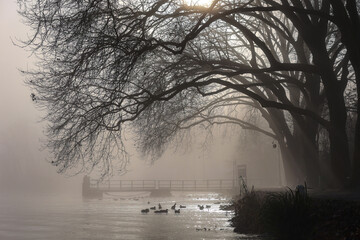 Baldeneysee im Nebel