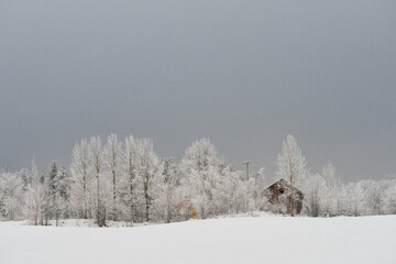 rural winter wonderland III
