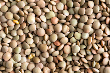 Mucchio di lenticchie fresche, cibo biologico 