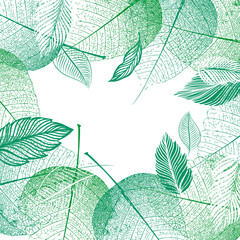Square frame of green leaves. Vector illustration