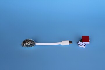Study, learning, knowledge transfer concept. White cable, brain model and pile of books on blue background.