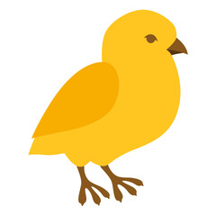 Cute Easter yellow chick illustration. Cartoon chicken character for design.