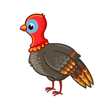 Cute turkey stands on a white background. Beautiful vector illustration in cartoon style