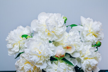 Beautiful white peony flowers bouquet with water drops on petals on a white background.