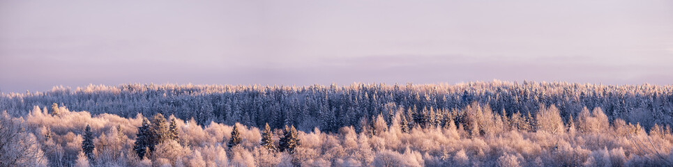 Wonderful winter scenery. Beautiful snowy forest, with a small church among the trees, against the backdrop of a frosty sky. Panorama.