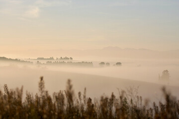 Fog on the valley