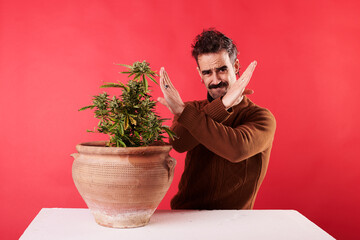 a young boy rejecting a marijuana plant with red background