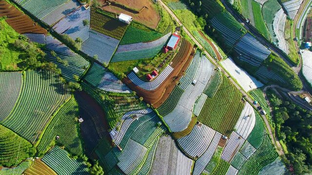 Aerial view of the Nepal van java is a Rural tour on the slopes of mount sumbing, The beauty of building houses in the countryside of the mountainside. Magelang, Indonesia