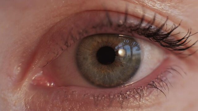 Ophthalmology check. Female eye. Visual focus. Macro view of wide opened green eye unrecognizable woman.