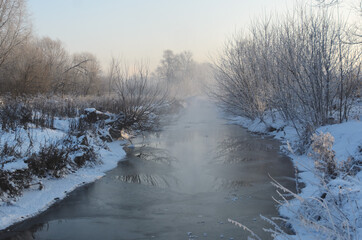 Dawn in winter, snow and blue on the trees, fog over the water.