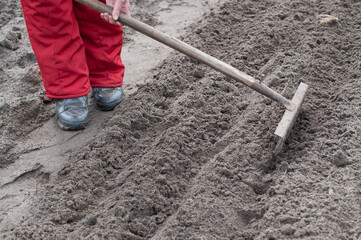 rakes in the garden loosen the ground in