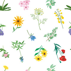 Seamless pattern of vector flowers and leaves isolated on white background. Hand drawn illustrations.