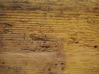 Wood worm holes
