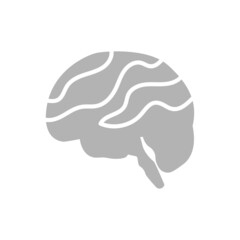 icons of body organs, brain on a white background, vector illustration