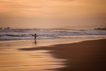 surfer returns from water with a surfboard at the sunset