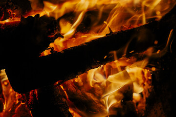 Campfire in the night