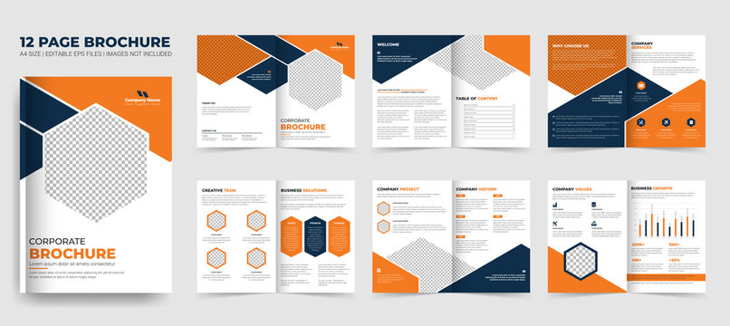 Business brochure template layout design, multipage corporate brochure editable template layout, minimal business brochure template design