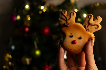 Close-up homemade, gingerbread cookie Father Christmas reindeer, surrounded by Christmas tree lights. Bokeh, blurred light background. Happy new year. Copy paste, text space. Background, cover photo.