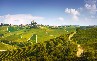 Fototapeta premium Langhe vineyards panorama, Serralunga Alba, Piedmont, Italy Europe.
