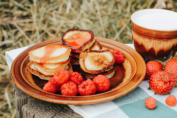 Summer picnic with pancakes, jam, berries and milk in nature. Sweet summertime, vacation, outdoor recreation, countryside concept.
