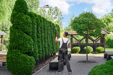 Back view of male gardener in uniform and gloves trimming hedge with electric machine. Caucasian...