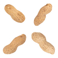 set of peanuts isolated on white background