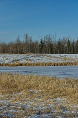 Pylypow Wetlands on a Snowy Autumn Day