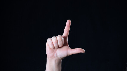 Sign language, the alphabet letter: L