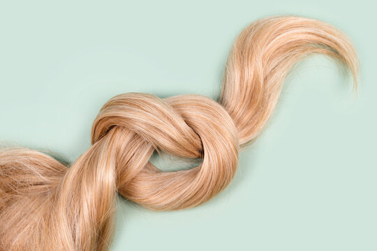 Blonde hair lock tied in knot. Strand of honey blonde hair on mint background, top view. Hairdresser service, hair strength, haircut, hairstyle, dying or coloring, hair extension, treatment concept.