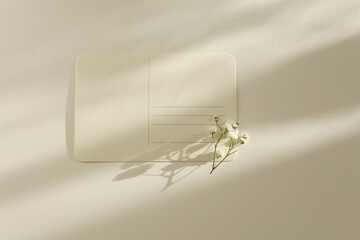 Empty Blank texture canvas paper card with copy space for your text message and gypsophila flower. Light and shadows minimalism style template background. Flat lay, top view.
