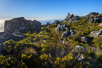 On top of the Table Mountain National Park in Cape Town.