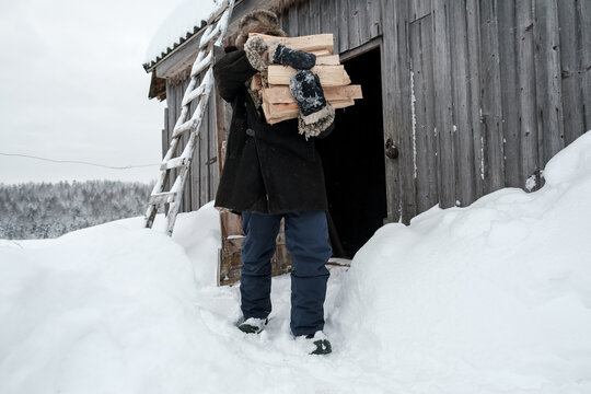 Man carries an armful of firewood against the backdrop of a barn and a snow-covered forest, on a winter day, in the village.