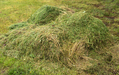 a pile of mown grass in the meadow