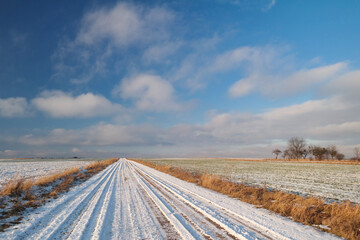 Fototapeta na wymiar Pusta droga zimową porą, krajobraz wiejski.