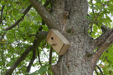 Wooden bird house on a tree trunk.
