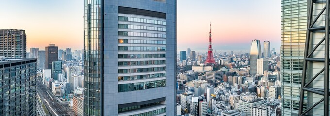 Tokyo skyline panorama at sunrise with view of Tokyo Tower
